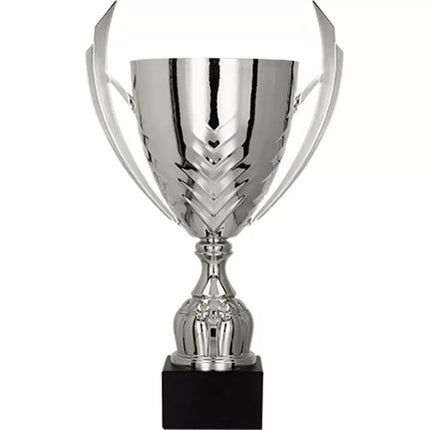 Silver metal cup