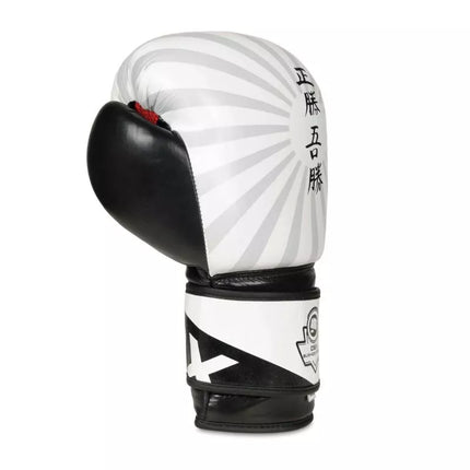 10oz Boxing Gloves - Japan - Valor Series
