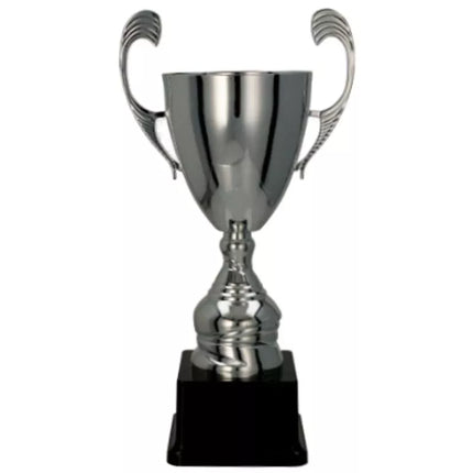 CUP 4105C