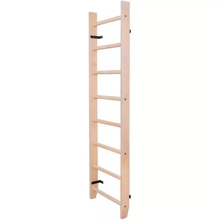 Gimnastikos kopėčios BenchK 100