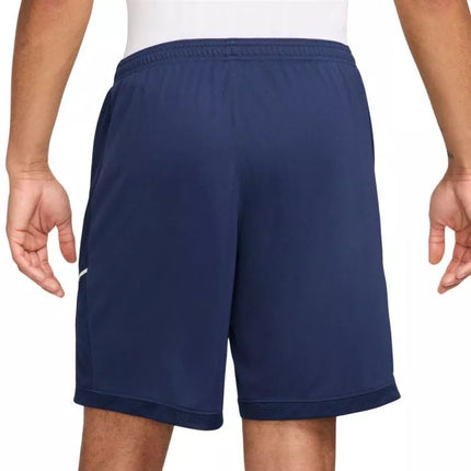 Nike Dri-Fit Academy 25 M Šortai FZ9776 410