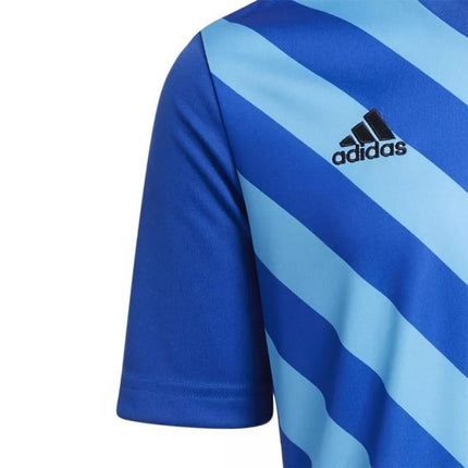 adidas Entrada 22 Graphic Marškinėliai Jaunimui HF0130