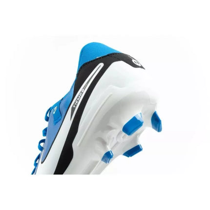 Nike Legend 10 Academy FG/MG futbolo bateliai