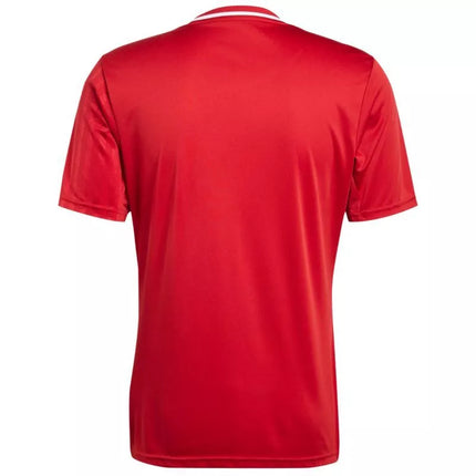 adidas Campeon 25 marškinėliai M JF6058