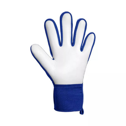 Reusch Attrakt Starter Solid Goalkeeper Gloves Blue 5670514 4126