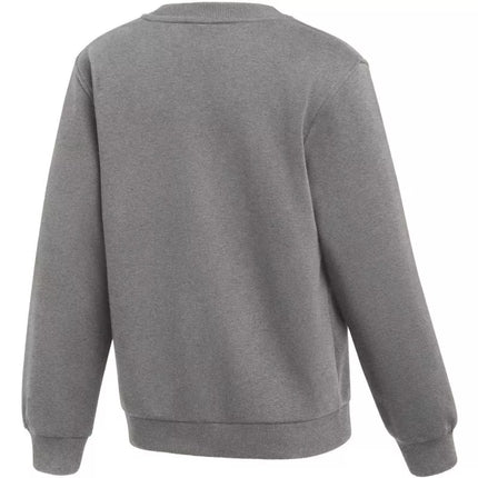 Nike Park 26 Fleece Crew Kids' Sweatshirt Gray IB1188 063