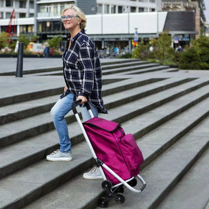 Ekspertinė Premium 604352 Pirkinių vežimėlis