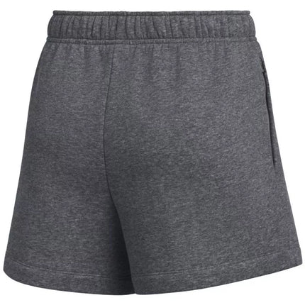 Nike Park 26 Fleece moteriški šortai Tamsiai pilka IB1243 063