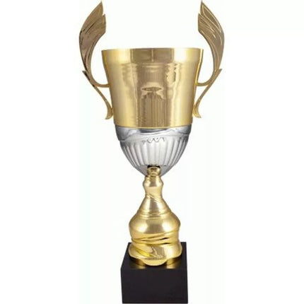 Auksinė ir sidabrinė metalinė taurė 4128D