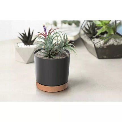 TUBO PM ANTHRACITE FLOWER POT 13CM
