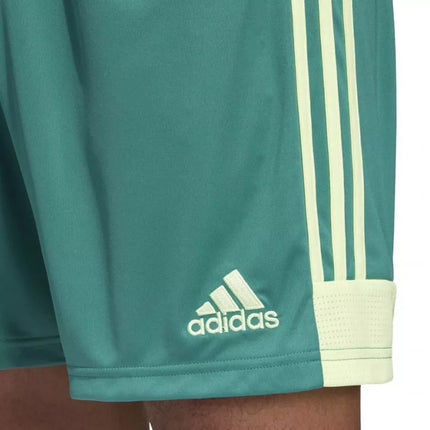 adidas M Tastigo 19 Šortai DP3251