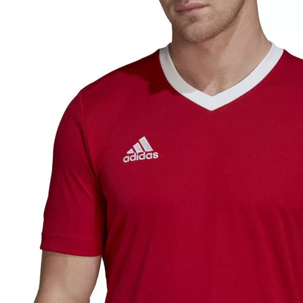Adidas Entrada 22 vyriški marškinėliai H61736