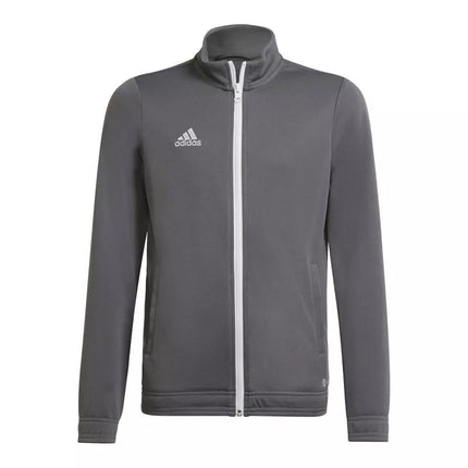Adidas Junior Entrada 22 sportinio kostiumo kelnės Jr H57521