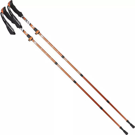NORDIC WALKING TRIP POLES IN ENERO PRO CASE