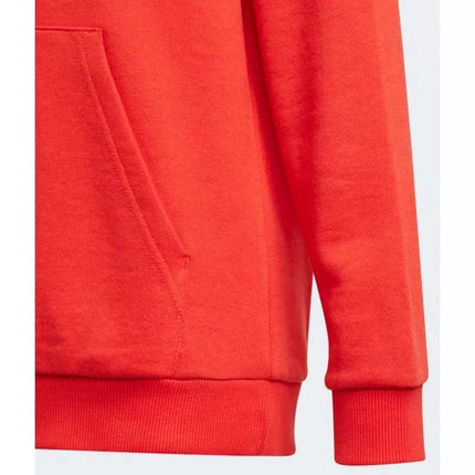 Adidas Essentials Big Logo Hoodie Jr GN4037 džemperis