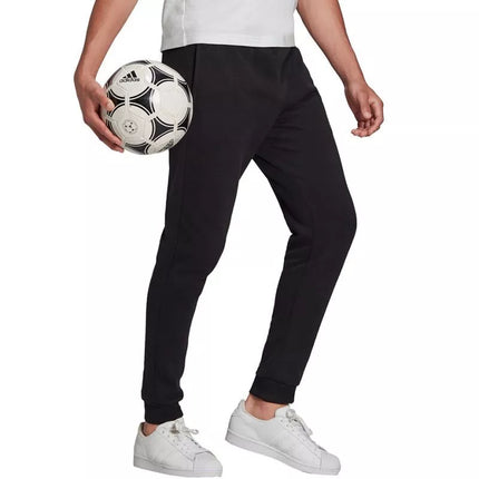 Adidas Entrada 22 Vyriškos sportinės kelnės HB0574