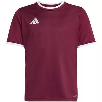 adidas Entrada 26 Jersey bordo vaikiški marškinėliai JZ2530