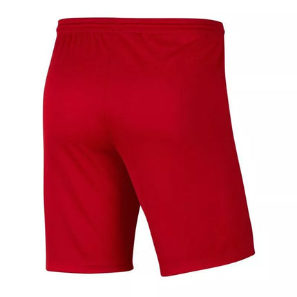 Vaikiški „Nike Park III Knit Jr BV6865-657“ šortai