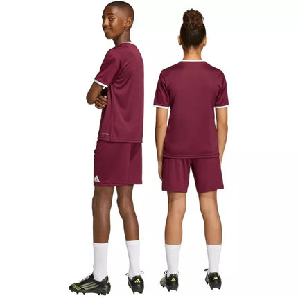 adidas Entrada 26 burgundy kids' shorts JZ6527