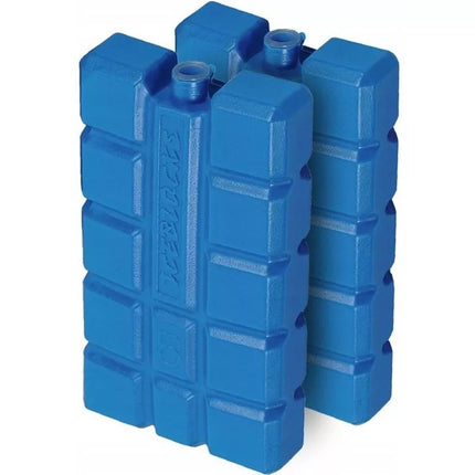 Šaldytuvo elementas 2x200g