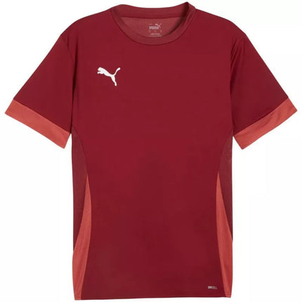 Puma teamGoal Matchday Džersis Vyriškas Bordo 705747 09