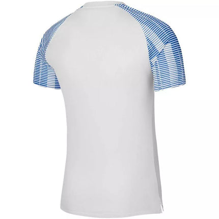 Nike Dri-FIT Academy Jsy SS M DH8031 102 marškinėliai