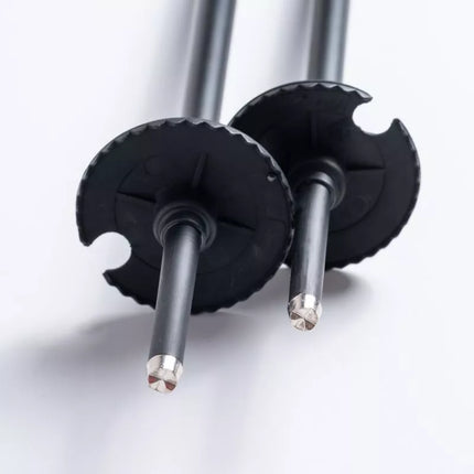 ALPINE SKI II poles