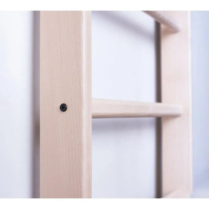 LADDER WITH WOODEN BAR AND ACCESSORIES BENCHK 112+A204