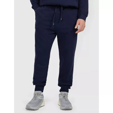 Men's jogger sweatpants 4F 4FRMM00TTROM1624-31S