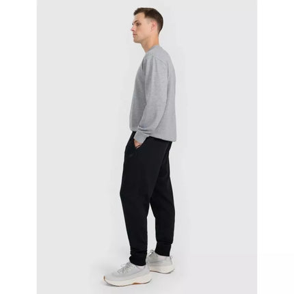 Vyriškos sportinės kelnės jogger 4F 4FRMM00TTROM1624-20S