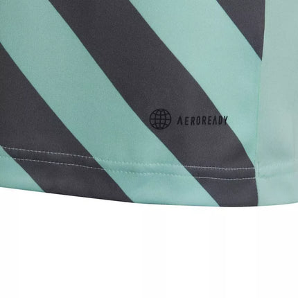 adidas Entrada 22 Graphic Jersey Jr HF0127