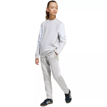 Adidas Squadra 25 Sweat Crew Jr JD4824 džemperis