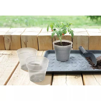 PLANTI POT TRANSPARENT 12CM