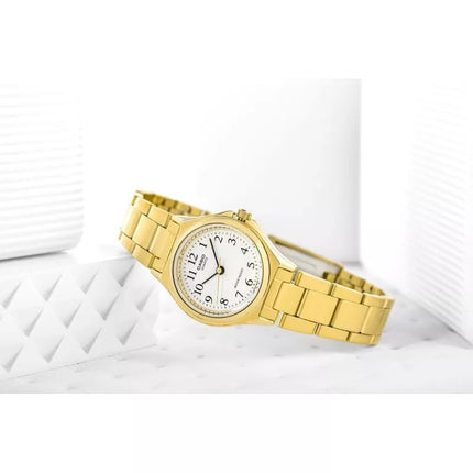 Moteriškas laikrodis CASIO LTP-1130N-7BRDF su dėžute
