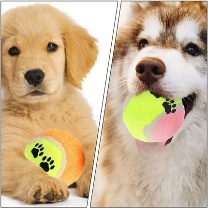 TENNIS BALL FOR DOGS 5 PCS