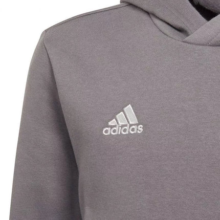 Adidas Entrada 22 Hoody Jr Džemperis H57515