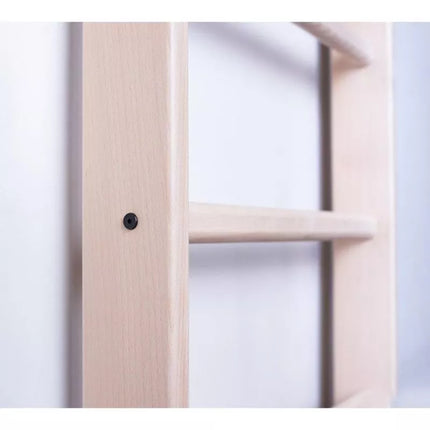 LADDER WITH WOODEN BAR AND ACCESSORIES BENCHK 112+A204