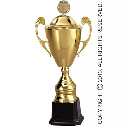 Gold metal cup with lid