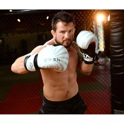 10oz Boxing Gloves - Japan - Valor Series