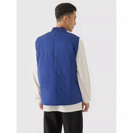 Men's down vest with stand-up collar 4F 4FRAW24TVESM171-31S