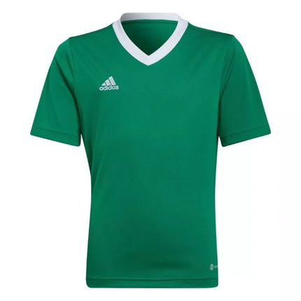 adidas Entrada 22 Marškinėliai Jr HI2126