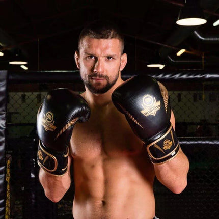 10oz Boxing Gloves - Aureos - Valor Series