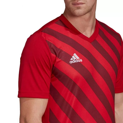 Adidas Entrada 22 grafiniai marškinėliai M HB0572