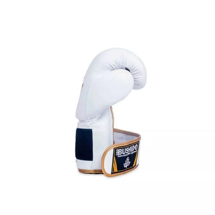 10oz Boxing Gloves - Spirit - Valor Series