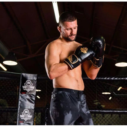 10oz Boxing Gloves - Infinity - Origin Series