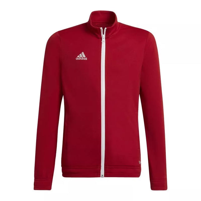 Adidas Entrada 22 Track Jr H57563 džemperis