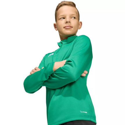 adidas Entrada 26 treniruočių džemperis žalias JZ6632 vaikams