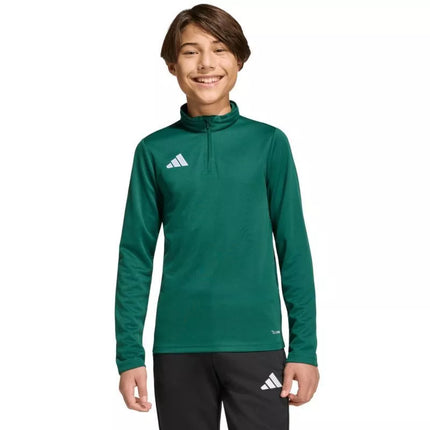 adidas Entrada 26 treniruočių bliuzonas, žalias, vaikams KE9825