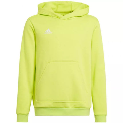 Adidas Entrada 22 Hoody Jr HC5069 džemperis
