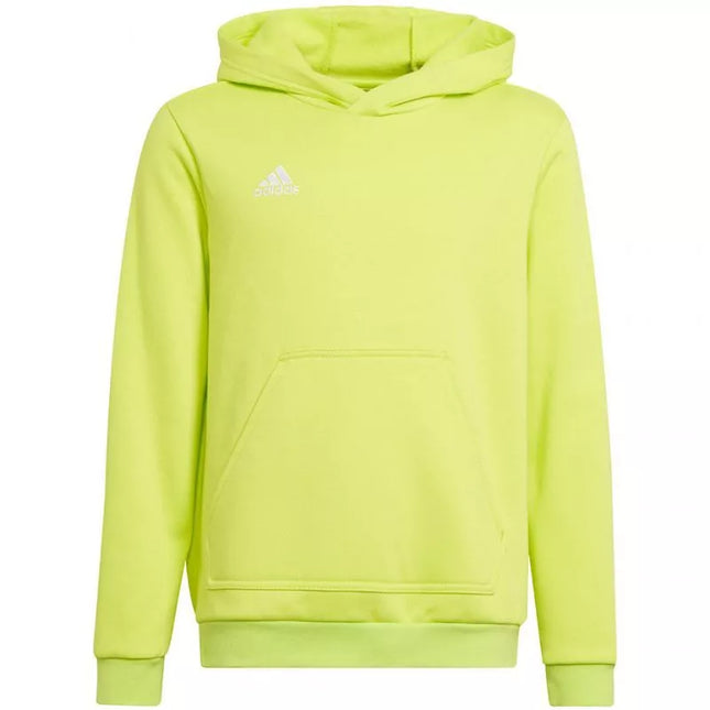 Adidas Entrada 22 Hoody Jr HC5069 džemperis